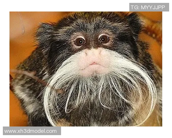 外国足球明星街头恶搞大揭秘搞笑瞬间让你捧腹大笑的精彩片段合集