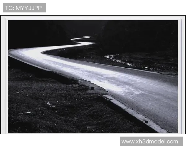 足球明星轻音乐的魅力探寻与心灵共鸣之旅